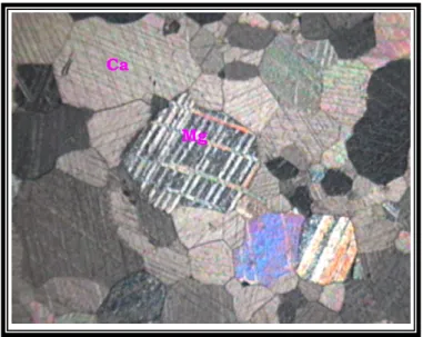 Gambar 4.6. Ukuran butir kristal mineral Kalsit (Ca) dan Dolomit (Mg) pada  batugamping relatif kasar karena pengaruh penambahan suhu sebagai indikasi  telah terjadinya metamorfose kontak