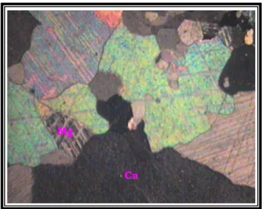 Gambar 4.8.  Ukuran kristal mineral Kalsit (Ca) dan Dolomit (Mg) pada  batugamping relatif kasar, batas kristal lebih jelas dan lebik kompak karena  pengaruh penambahan suhu sebagai indikasi telah terjadinya metamorfose kontak