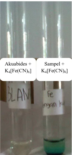 Gambar 4.  Hasil Analisis Kualitatif dengan Larutan Kalium heksasianoferat (II)  