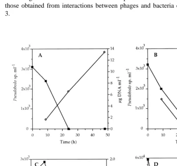 Fig. 4. Abundance of pseudobodo sp. and D-DNA concentration (�) in subsamples collected fromexperiments performed using marine bacteria: (A) A-1; (B) B-2; (C) P-1; (D) B-1.