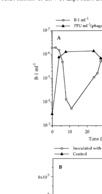 Fig. 1. (A) Evolution of bacteria and phage number in experiments with the bacteria/phage system B-1/18.(B) Evolution of bacterial number in experiments with the system phage 3/bacteria A-1.
