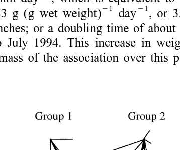 Fig. 6. The distances and directions that members of three replicate groups of 10 tagged clumps were movedby the action of currents at RB 1, over a period of 11 days