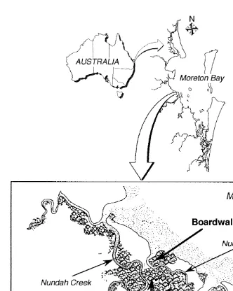 Fig. 1. Map of Australia showing the location of Moreton Bay, in SE Queensland and an expanded map of theBoondall Wetlands Reserve north of Brisbane showing the disturbed area and the two control areas used in thisstudy.