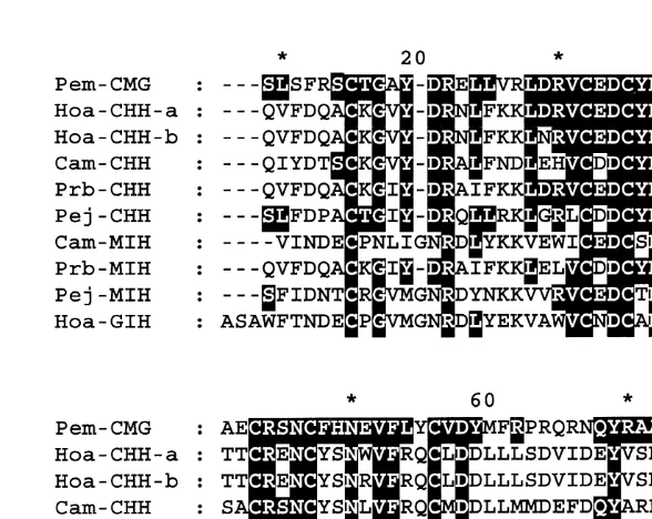 Fig. 4. Comparison of the amino acid sequence of Pem-CMG peptide with those of HC. americanus CHH-Aand CHH-B (Hoa-CHH-A and Hoa-CHH-B, Tensen et al., 1991), C