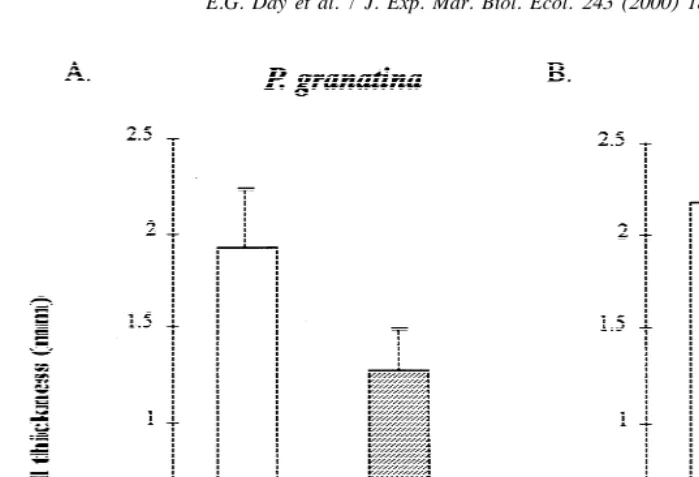 Fig. 5. Comparisons of the mean (1S.D.) thickness achieved by (a) Patella granatina and (b) P