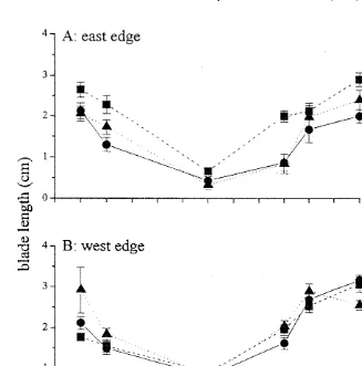 Fig. 1. Temporal variation of mean (6(Posidonia oceanicaSE) Caulerpa racemosa blade length (cm) at the edge of defoliated (10, 50 and 100% of shoot density) at the esast end west edge of the seagrass meadown 5 18).