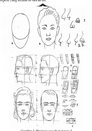 Gambar 2. Proporsi wajah manusia 2