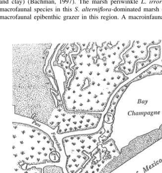 Fig. 1. Map of study area at Pass Fourchon, LA, showing the three sampling stations from the ﬁeld study.