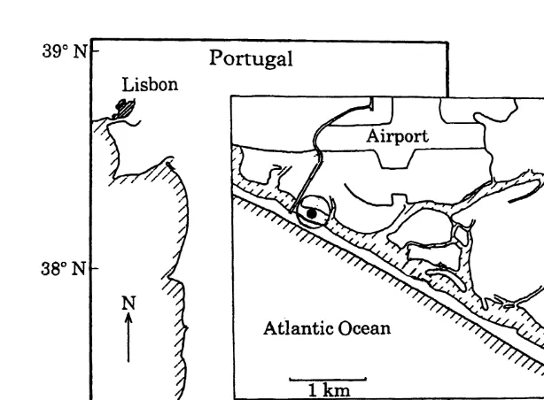 Fig. 1. Location of sampling station (d). This station was sampled over the period May–August 1990.