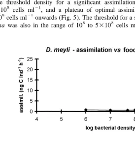 Fig. 5. Impact of bacterial density on assimilation rates of Diplolaimelloides meylimeyli (upper) and Pellioditismarina (lower graph)
