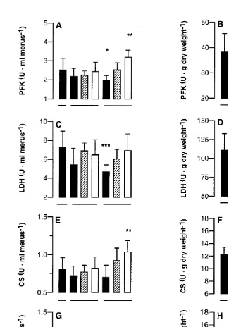 Fig. 8. Effects of food ration and time on enzyme activity in merus muscle of adult male snow crab