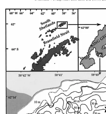 Fig. 1. Geographic location of Potter Cove, the x indicates the sampling station; shaded area is free of ice andsnow during summer.