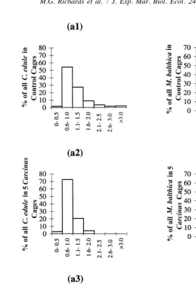 Fig. 4. Size frequency distribution of C. edule (a1–a3) and M. balthica (b1–b3) at end of enclosureexperiment