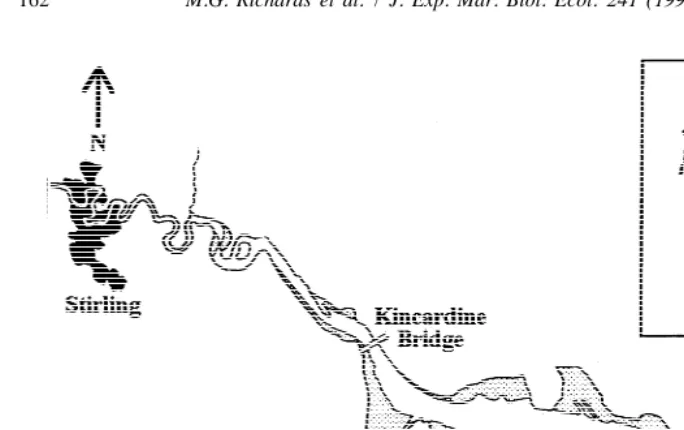 Fig. 1. The Forth Estuary, showing the location of the study site.