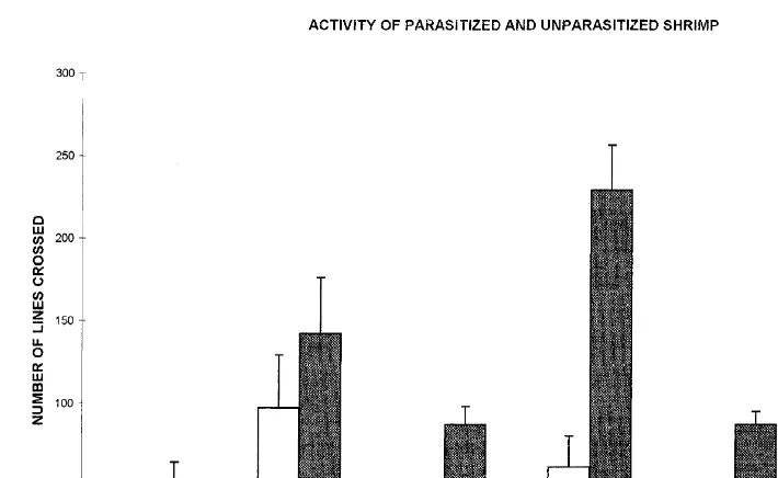 Fig. 2. Activity level (number of lines crossed) for parasitized and unparasitized shrimp at three differentsalinities.