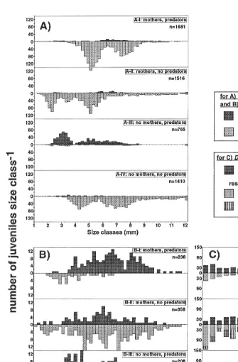 Fig. 5. Size frequency distribution of juvenile amphipods (A) Leptocheirus pinguistrays for each treatment were pooled; n, (B) Casco bigelowi and(C) Dyopedos monacanthus surviving in trays with and without predators; all juveniles from the three replicate 5 number of total survivors (residents 1 emigrants) for each N 5 3trays from each treatment.