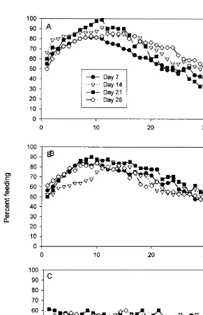 Fig. 3. Percentage numbers of Nassarius siquijorensis feeding after 50% of each set had commenced feedingon the bait and either: (A) after sand was added to the feeding assemblage; (B) crushed Monodonta or (C)crushed conspeciﬁcs were added