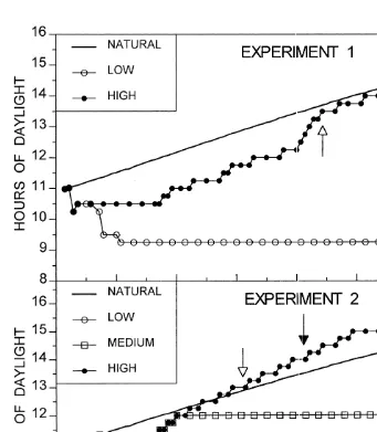 Fig. 1. Photoperiod regimes (hours of daylight) experienced by the various treatments used in Experiments 1and 2