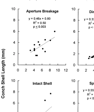Fig. 2. Shell length of killed conch plotted as a function of xanthid crab carapace width for four different typesof conch shell remains