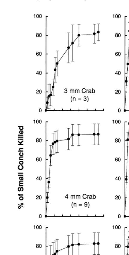 Fig. 3. Mean percentage of small conch (mean 1.6 mm shell length) killed by individual xanthid crabs in sixsize (carapace width) classes as a function of elapsed time