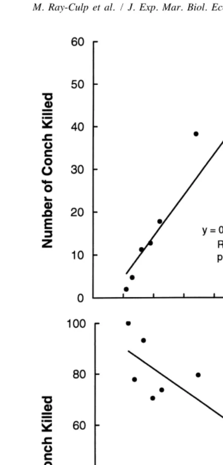 Fig. 4. Mean number (A) and mean percentage (B) of conch killed by xanthid crabs plotted as a function ofconch density.