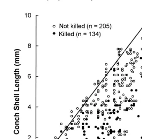 Fig. 1. Shell length of conch killed and not killed plotted as a function of xanthid crab carapace width