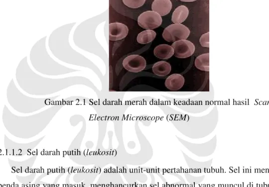 Gambar 2.1 Sel darah merah dalam keadaan normal hasil  Scanning  Electron Microscope (SEM) 