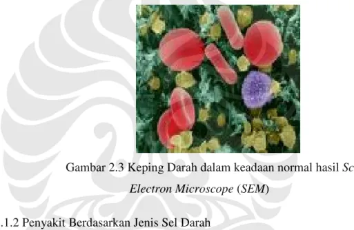 Gambar 2.3 Keping Darah dalam keadaan normal hasil Scanning  Electron Microscope (SEM) 