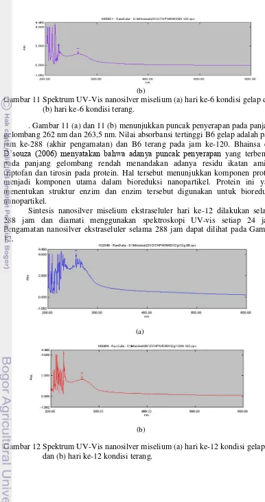 Gambar 11 Spektrum UV-Vis nanosilver miselium (a) hari ke-6 kondisi gelap dan 