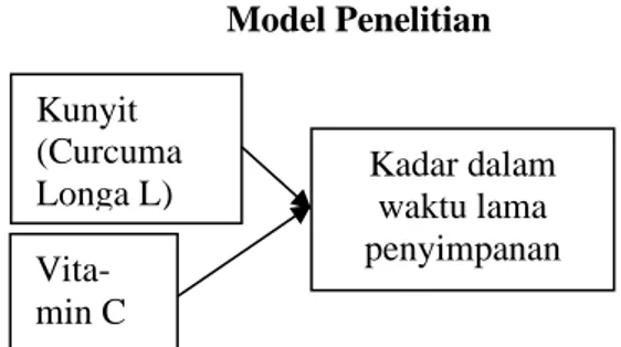 Gambar 2. Model Penelitian 