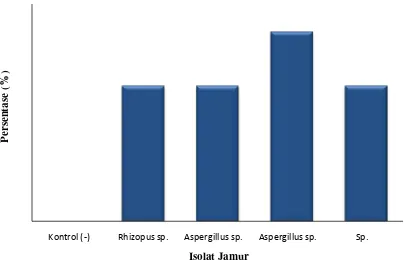 Gambar 4.5.1. Persentase tingkat patogenitas (tingkat terinfeksi dan mortalitas)                            isolat jamur                            Rhizopus sp., Sp