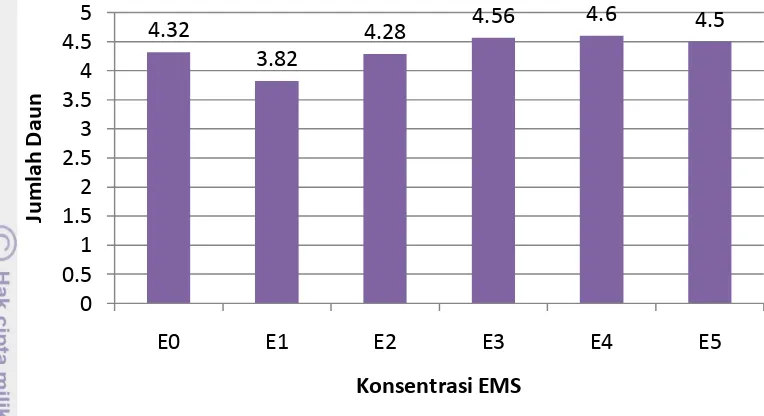 Gambar 4.9 Pengaruh konsentrasi EMS terhadap jumlah daun lili Oriental cv.         