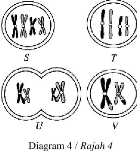 Diagram 4 / Rajah 4 