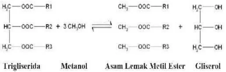 GAMBAR 2. 3 Reaksi Transesterifikasi
