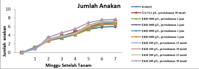 Gambar 4. Grafik jumlah anakan  per tanaman hingga minggu ke -7 setelah tanam 