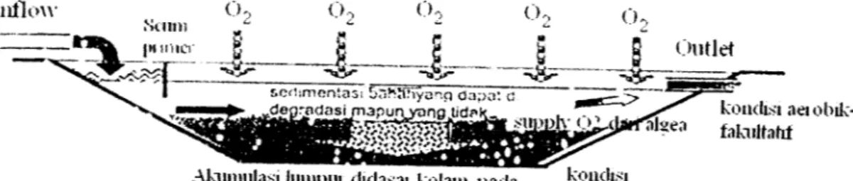 Gambar 3.7. Kolam Oksidasi (Sasse, 1998)