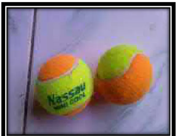 Gambar 2.6 Bola kecil (tennis/tonnis)  6.  Manfaat permainan  