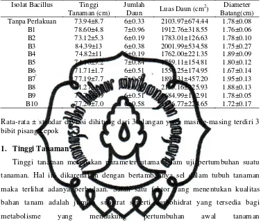 Tabel 3. . Pengaruh berbagai isolat Bacillus endofit terhadap berbagai parameter pertumbuhan  bibit pisang kepok 