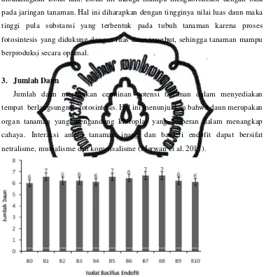 Gambar 6. Diagram balok jumlah daun bibit pisang kepok dengan perlakuan  beberapa isolat Bacillus endofit 
