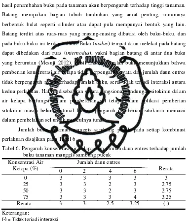 Tabel 6. Pengaruh konsentrasi air kelapa  dan jumlah daun entres terhadap jumlah 