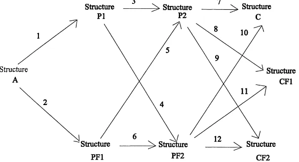 Fig. 2. Development in division of labor and structure of ﬁrms.