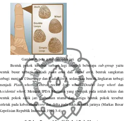 Gambar 4. pola golongan sidik jari 