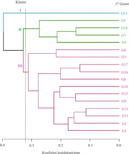 Gambar 2. Dendrogram dari tujuh belas genotipe mutan M 3  C. cristata berdasarkan karakter kuantitatif agro-morfologi