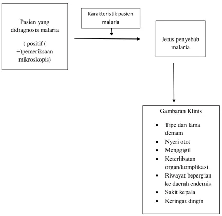 Gambaran Klinis 