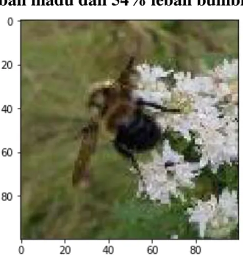 Gambar  8  Citra  dengan  probabilitas  46%  lebah madu dan 54% lebah bumble 
