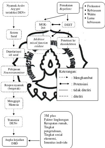 Gambar 2.1 Kerangka Pemikiran Hubungan Penggunaan Repellent dengan Kejadian Demam Berdarah Dengue pada Anak 