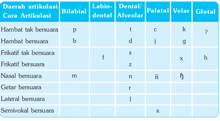 Gambar 5.2 Bagan pembagian konsonan berdasarkan artikulasinya