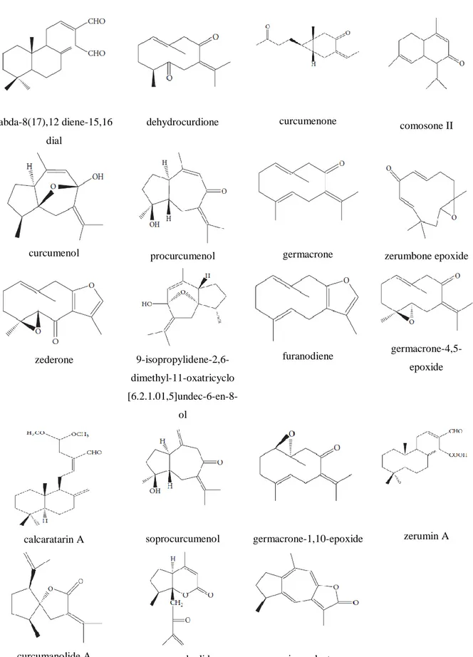 Gambar 2. Struktur dari berbagai senyawa yang telah diisolasi dari  rhiizoma Curcuma 