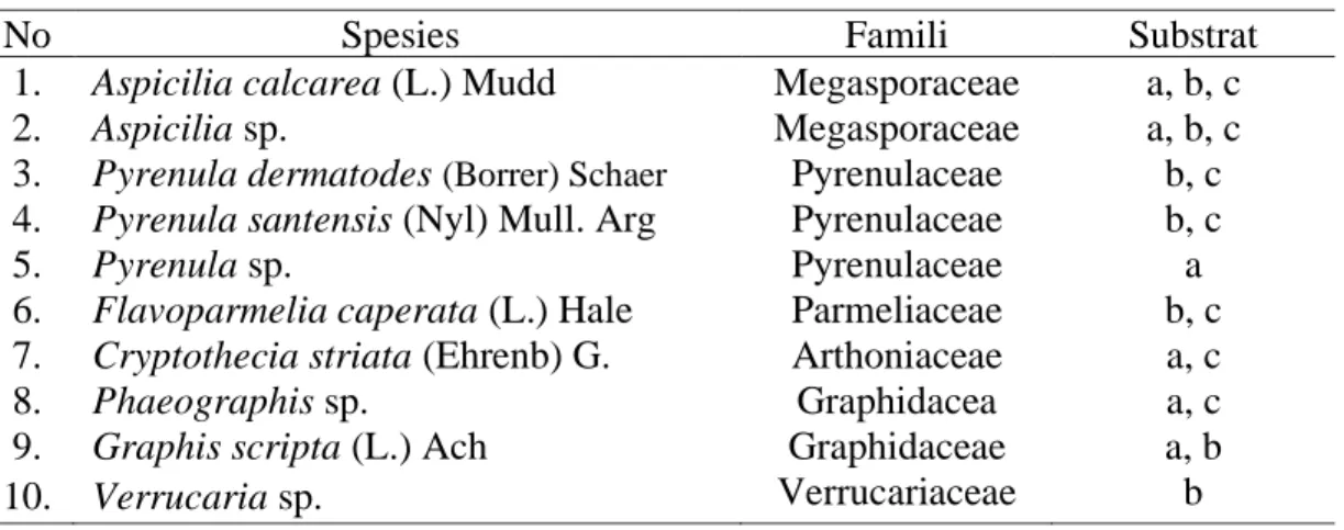 Tabel 2. Jenis-jenis lichen yang ditemukan di Desa Tomoli 