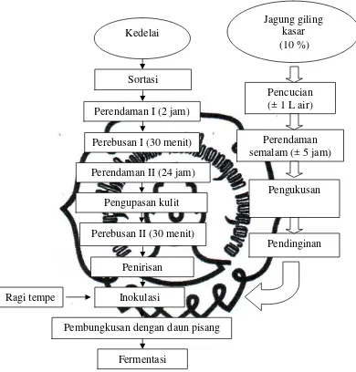 Gambar 3.1 Pembuatan Tempe kombinasi  (sumber: sentra pembuatan tempe dengan modifikasi penelitian) 